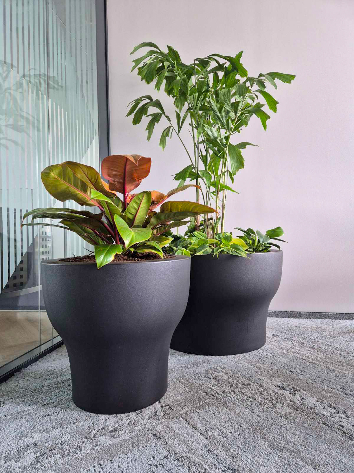 Interior-Plant-Design-Project-29