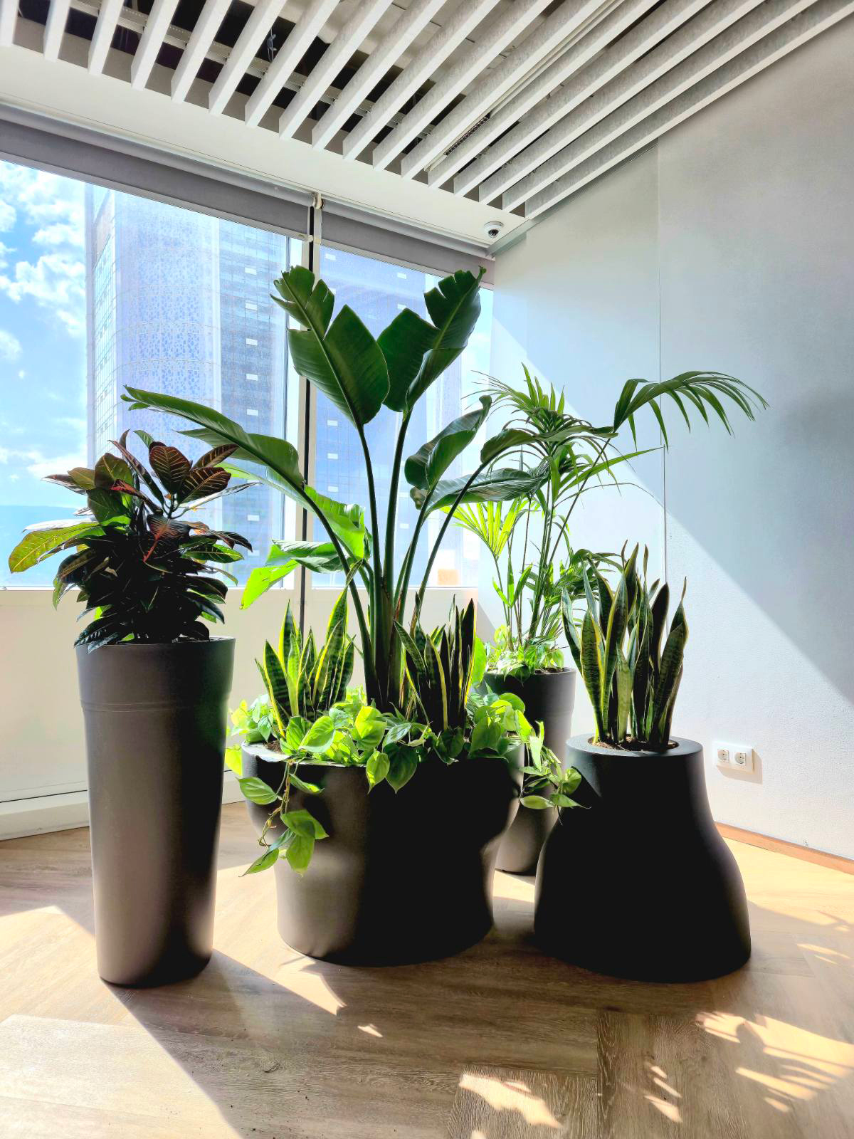 Interior-Plant-Design-Project-30