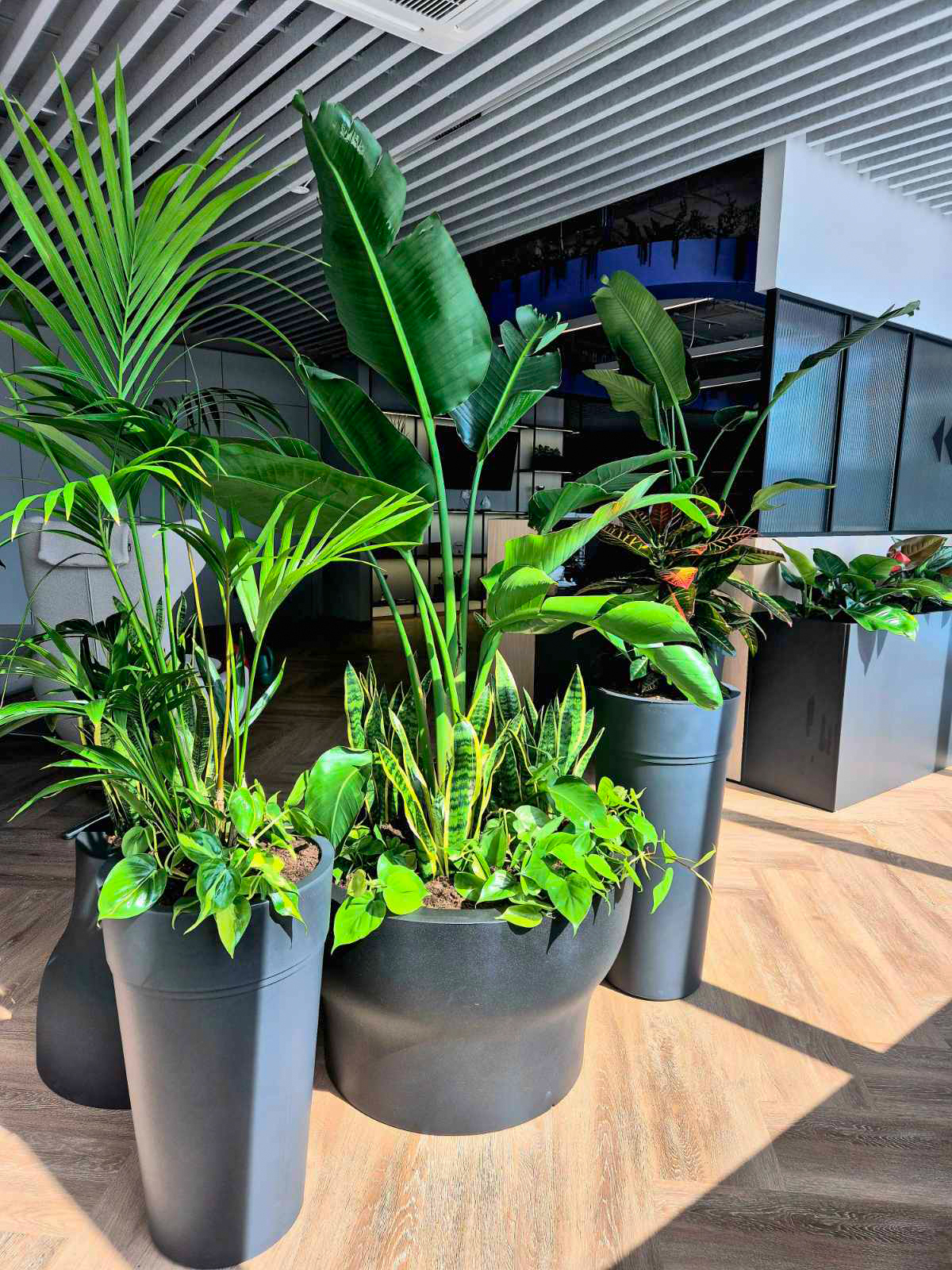 Interior-Plant-Design-Project-31