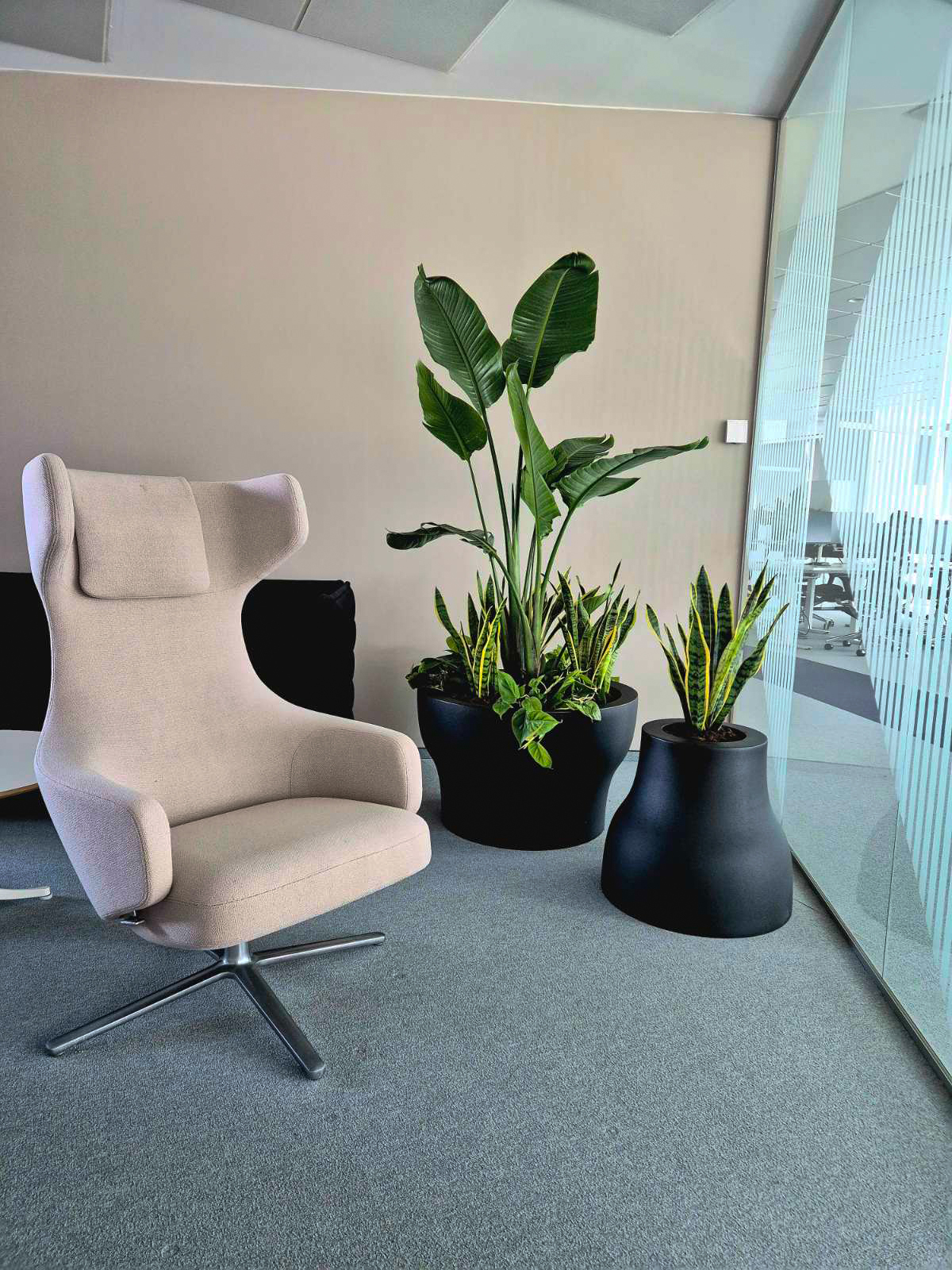 Interior-Plant-Design-Project-32