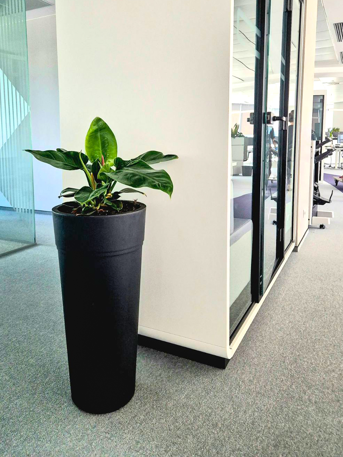 Interior-Plant-Design-Project-34