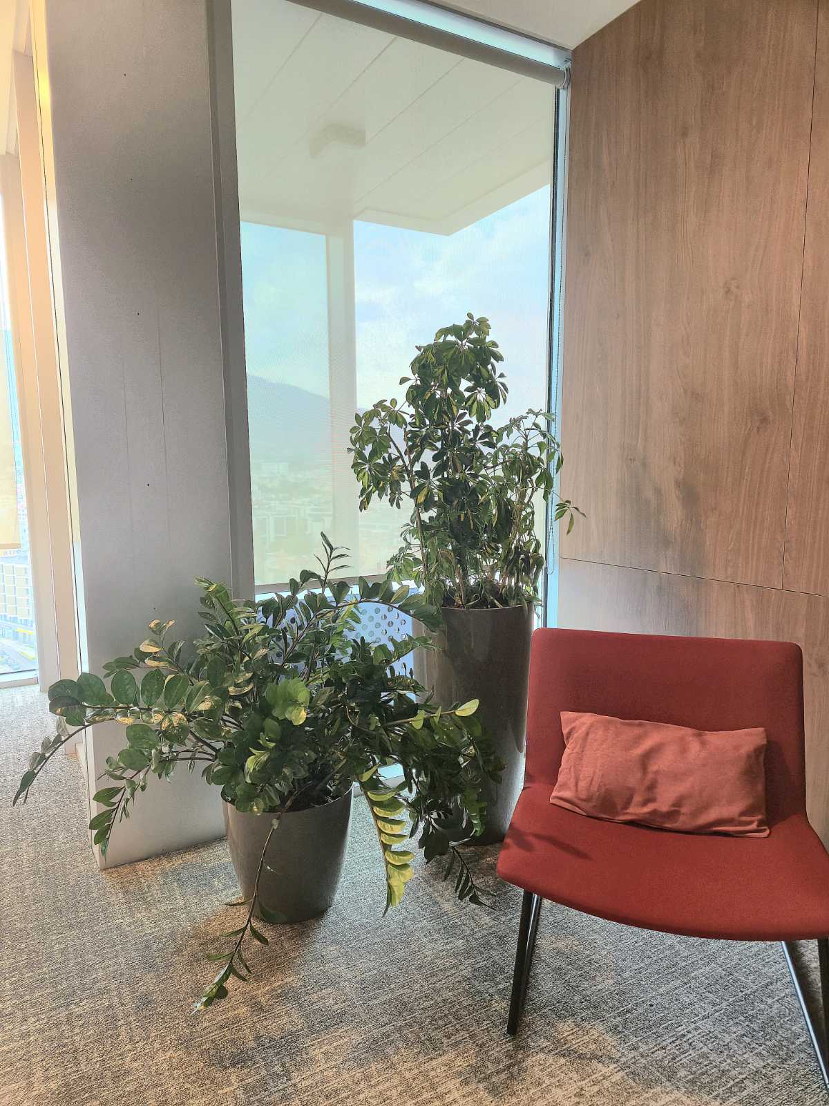 Interior-Plant-Design-Project-96