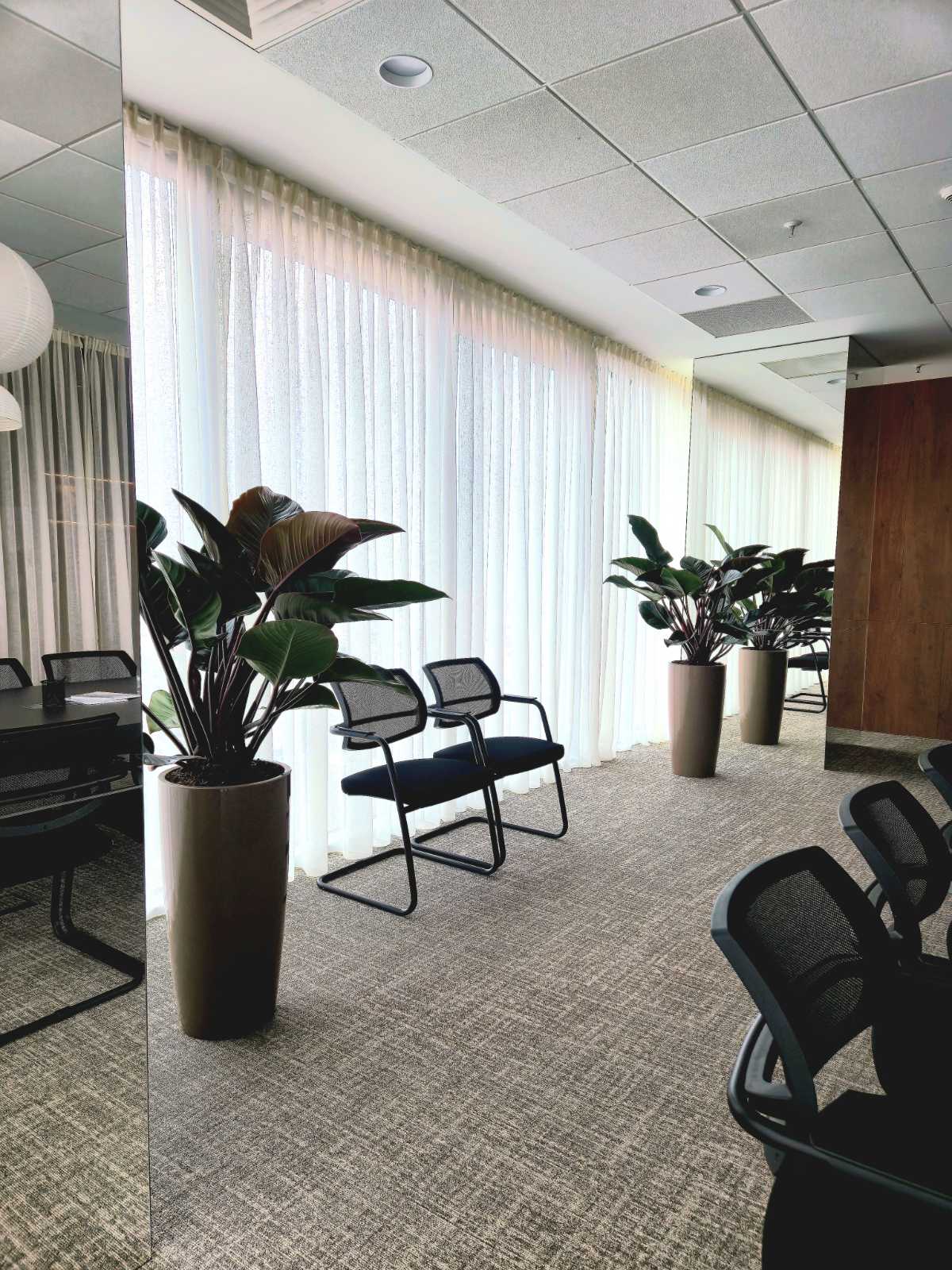 Interior-Plant-Design-Project-97