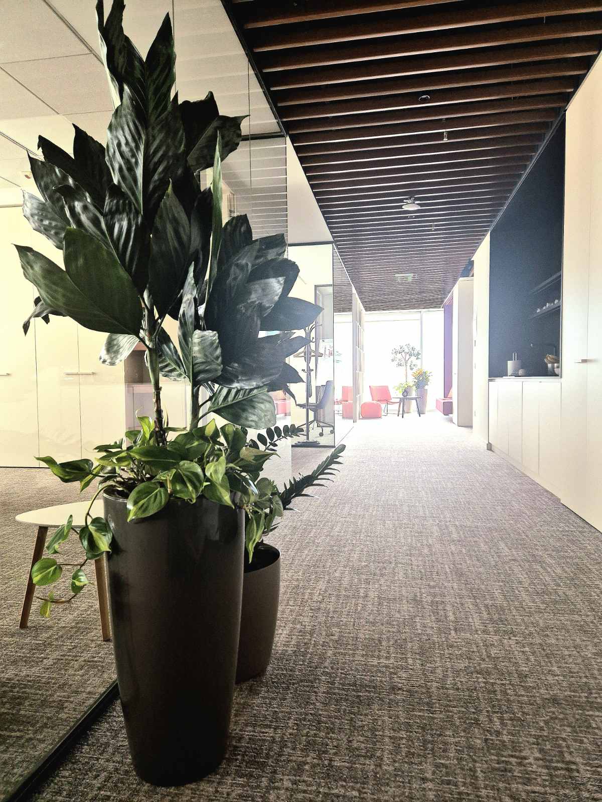 Interior-Plant-Design-Project-98