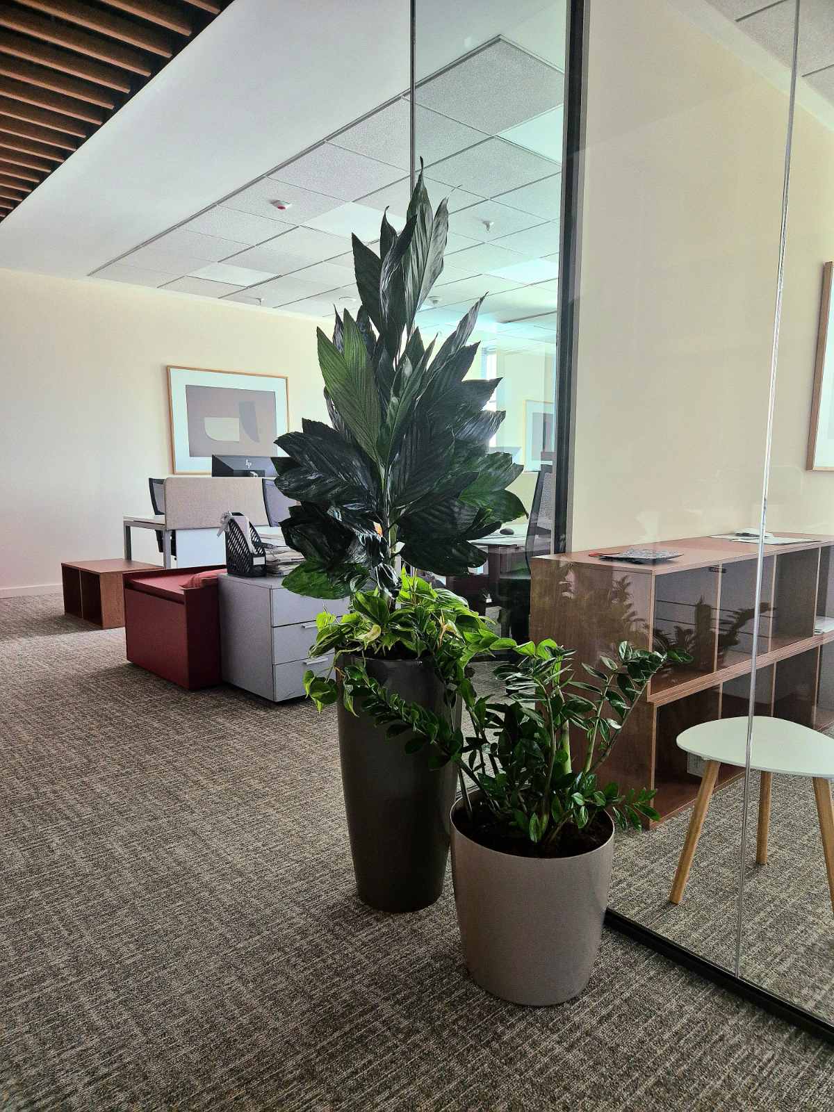 Interior-Plant-Design-Project-99