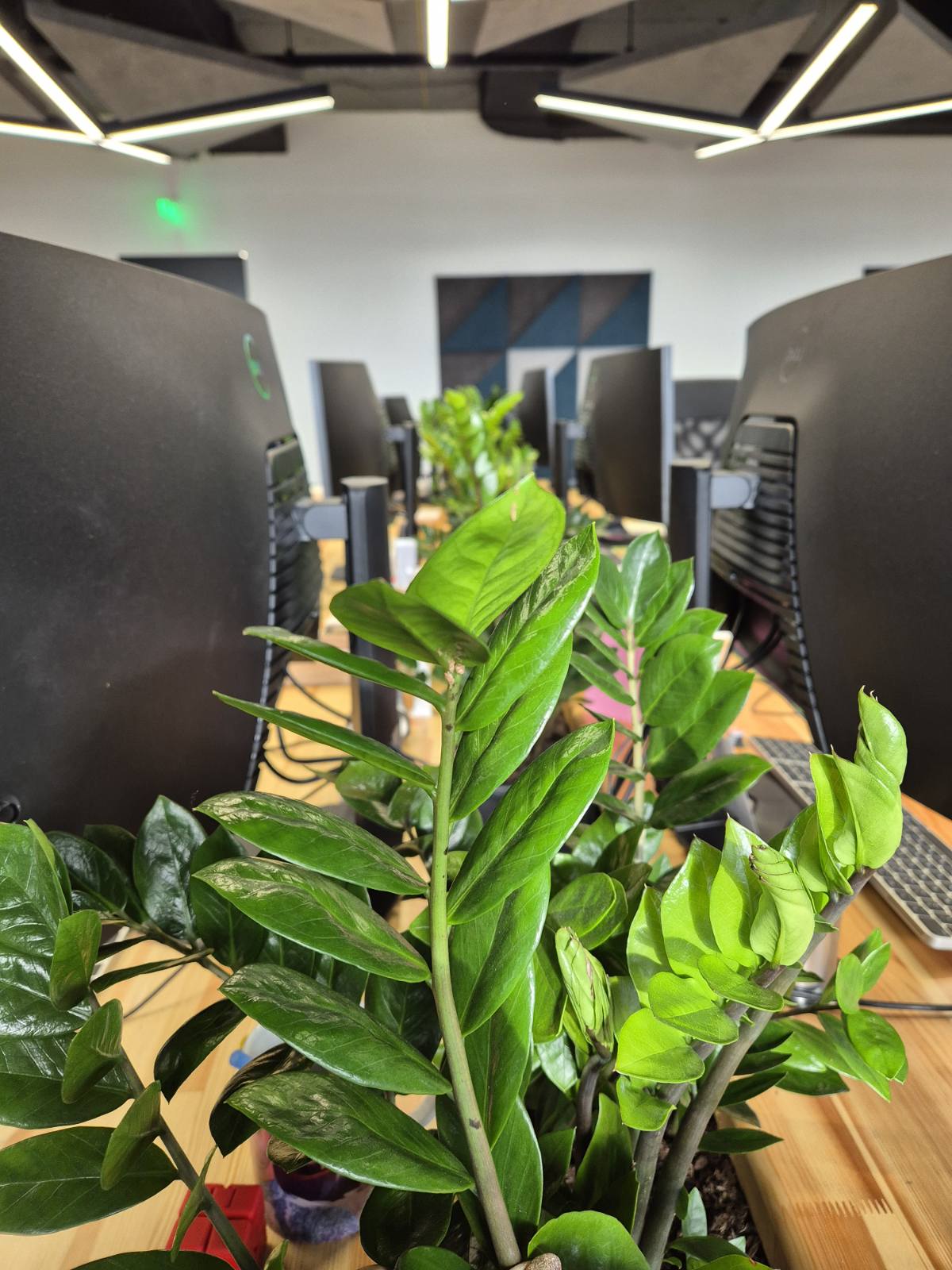 Interior-Plant-Design-Project-49