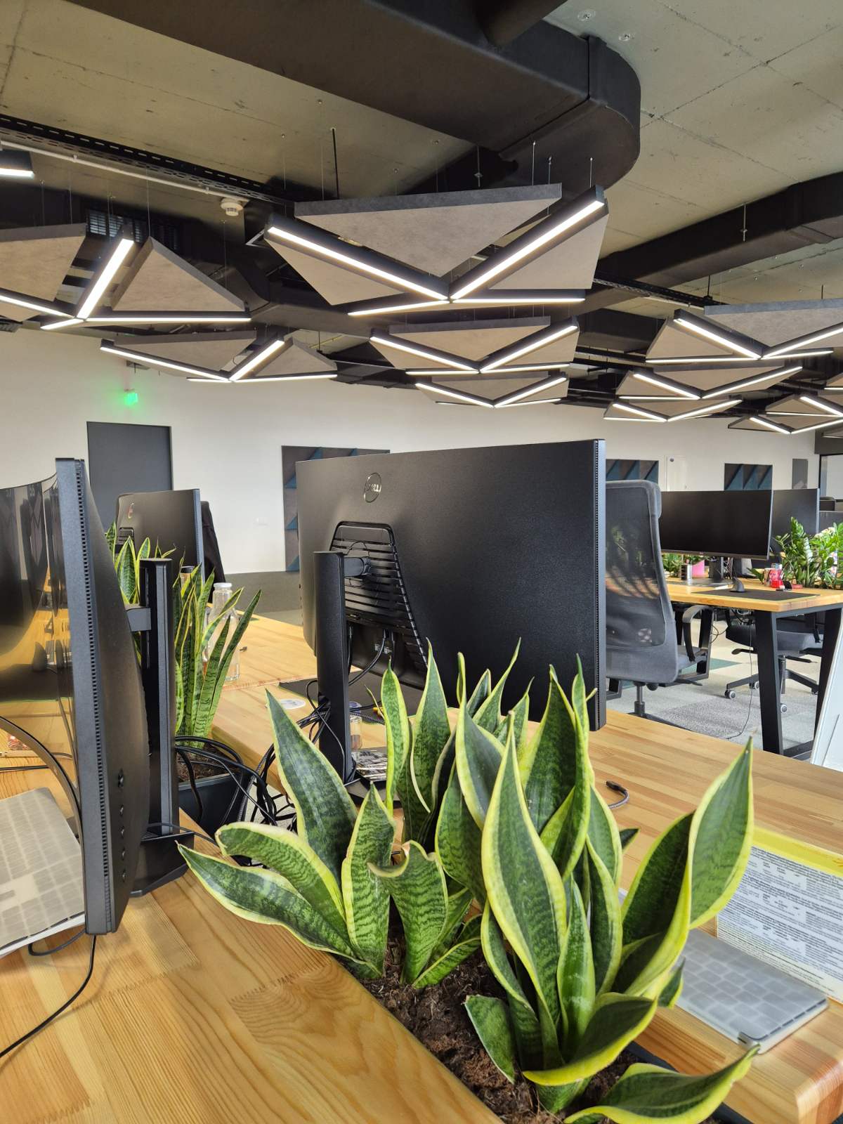 Interior-Plant-Design-Project-50