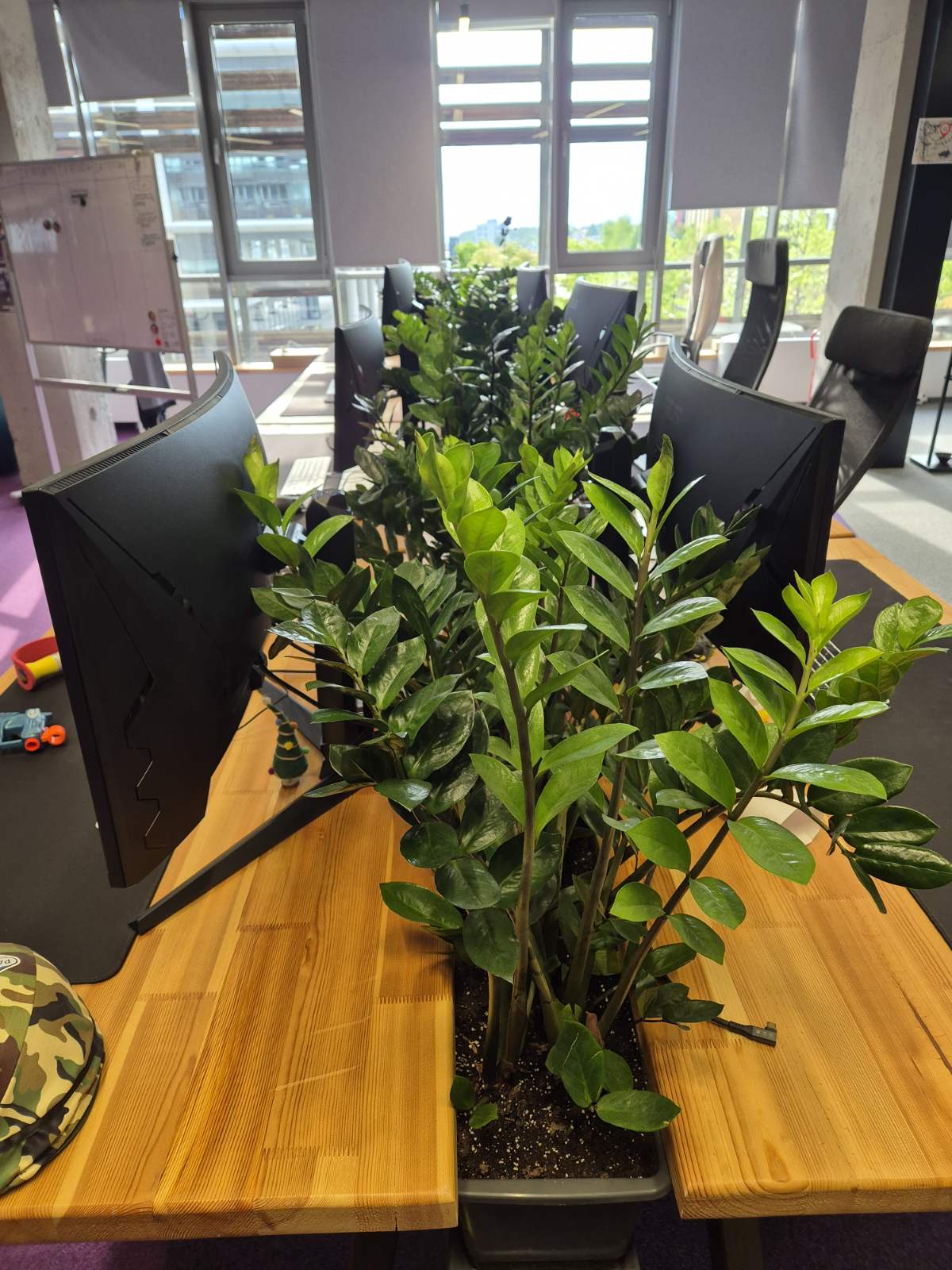 Interior-Plant-Design-Project-51