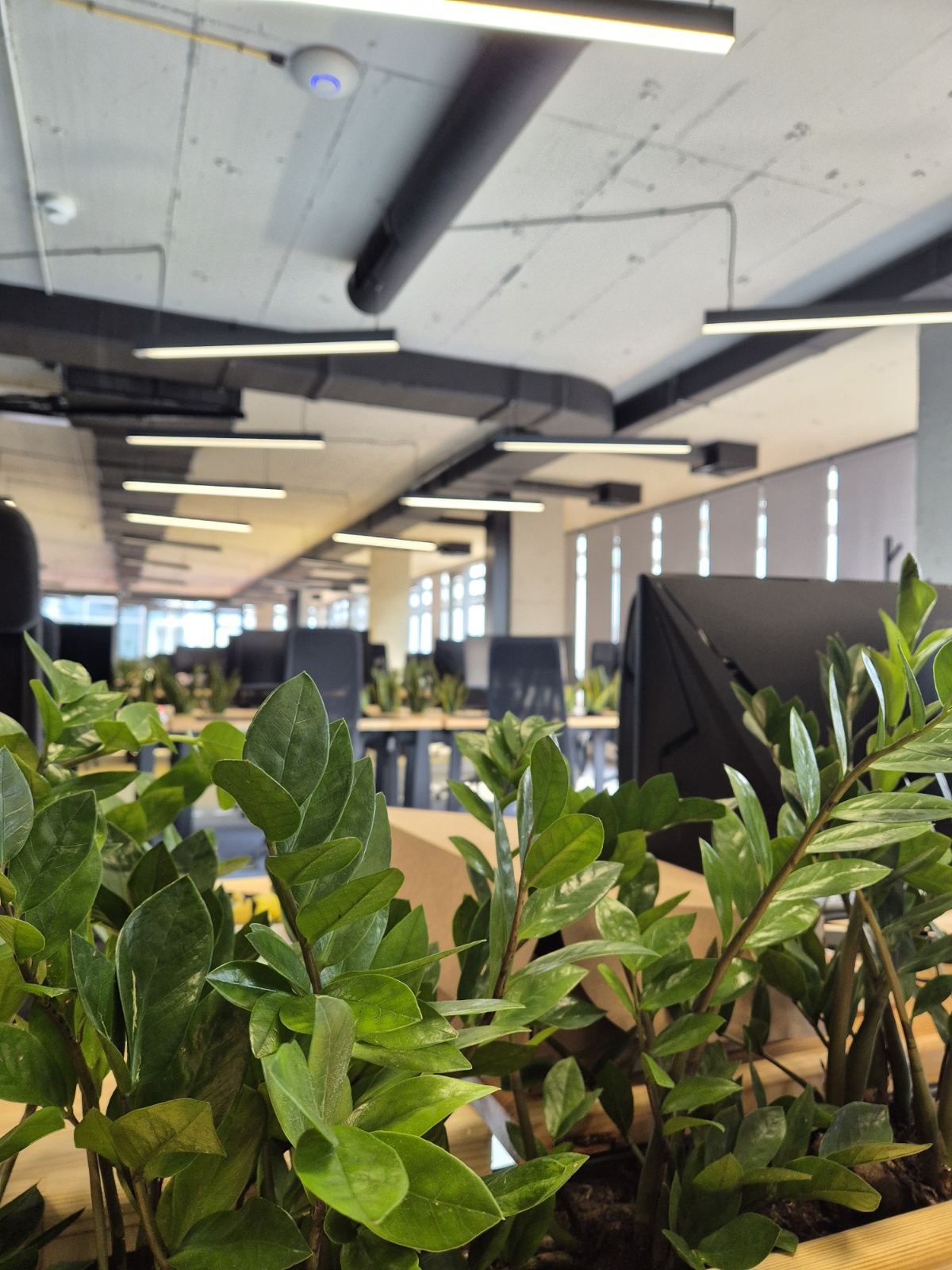 Interior-Plant-Design-Project-54
