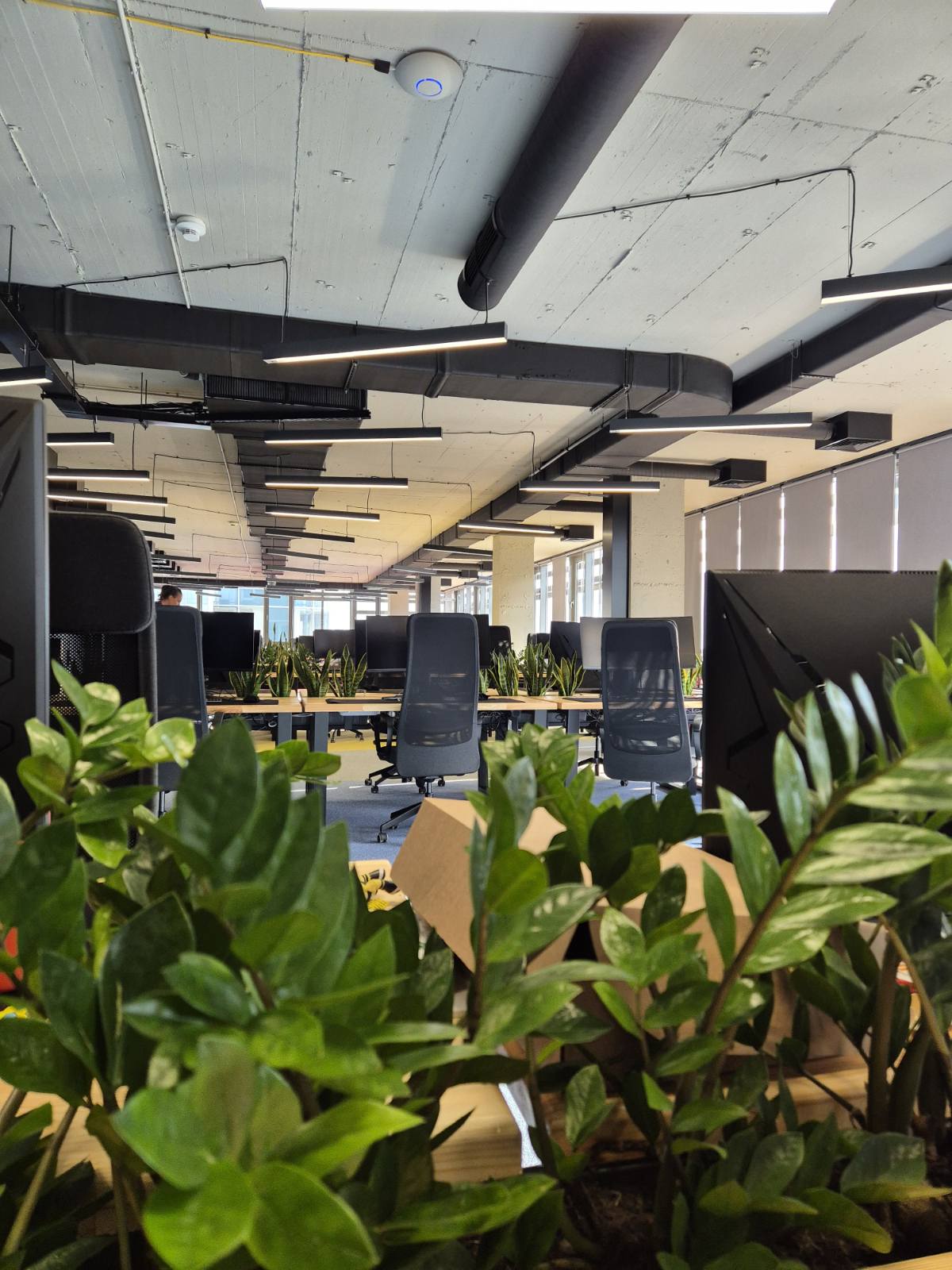 Interior-Plant-Design-Project-55