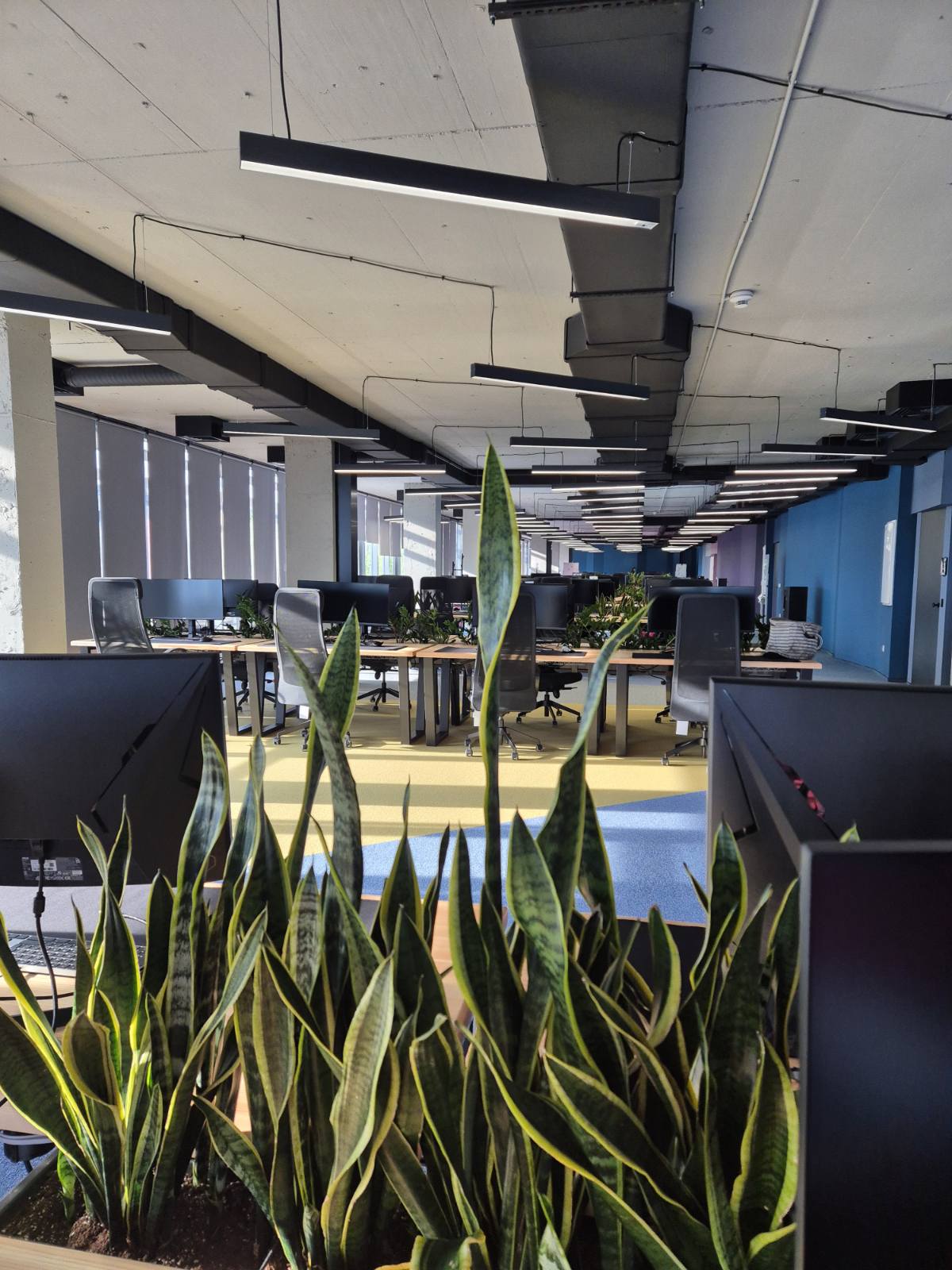 Interior-Plant-Design-Project-56